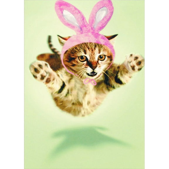 Recycled Paper Greetings Kitten Hug Funny Cat Easter Card