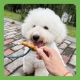thumbnail image 6 of MON2SUN Chicken Wrapped Calcium Bones Small Dog Treats, 10 oz (16 Count), 4Inch, 6 of 7