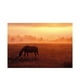 thumbnail image 1 of Dennis Frates - Estampado Horse In Pasture (Naranja), 1 of 2
