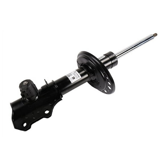 Front Driver Side Suspension Strut