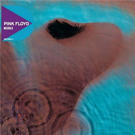 Meddle (Remaster)