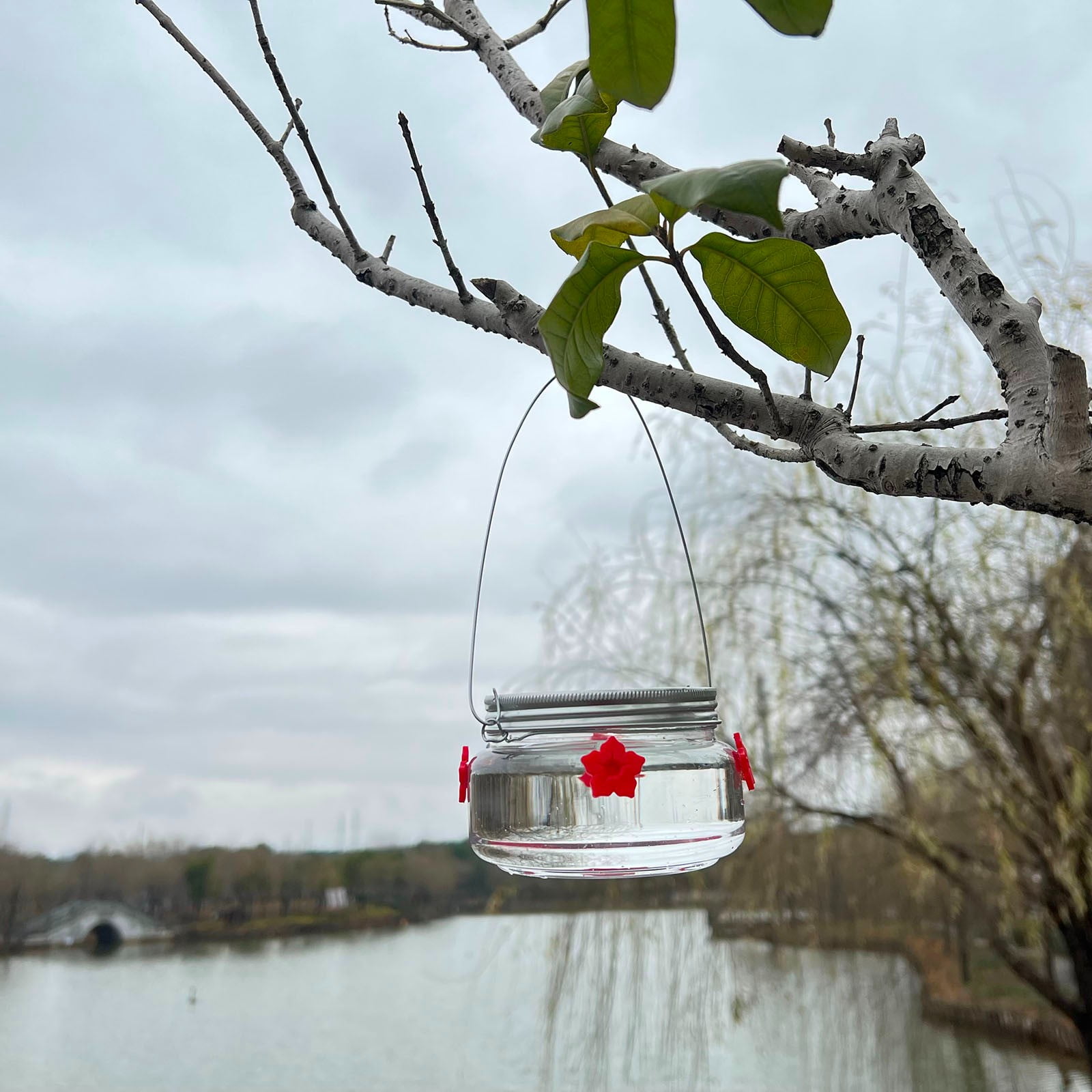 Stijggn Hummingbird Feeders for Outdoors Capacity Recycled Plastic Flat Mealworm Bird Feeder Tray for Wild Backyard Attracting Birds