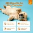 thumbnail image 2 of Zesty Paws Puppy Probiotic Bites Pumpkin Flavor Dog Supplement, 90 Count, 2 of 10