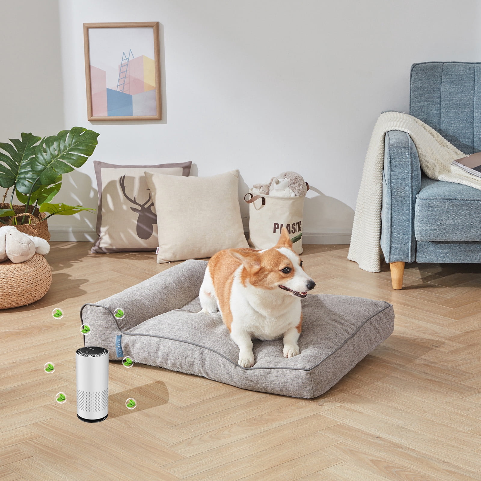 Purifiers For Home Pet Odor Eliminator With Activated Carbon Filter Portable 6.1 in x 3.34 in x 2.79 in White Plastic Unit