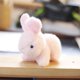 thumbnail image 5 of Precioso muñeco de peluche de conejo y oso, conejo, llavero, colgante de bolsa, juguetes de peluche, regalo de cumpleaños para bebés y niños, conejo de juguete, anillo, 5 of 5