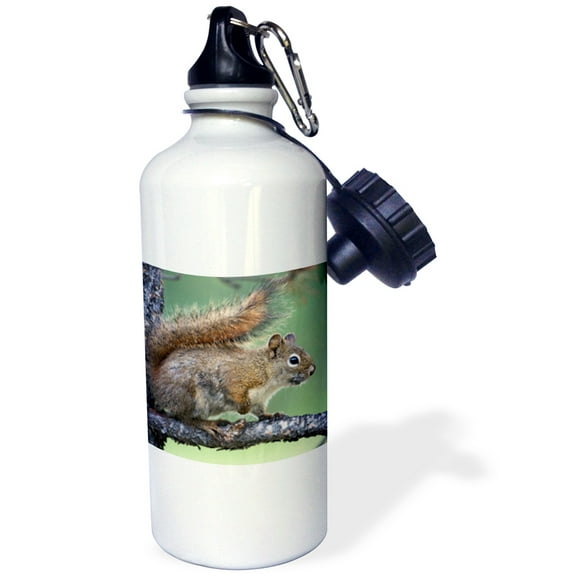 3dRose, Red Squirrel, Flip Straw 21oz Water Bottle