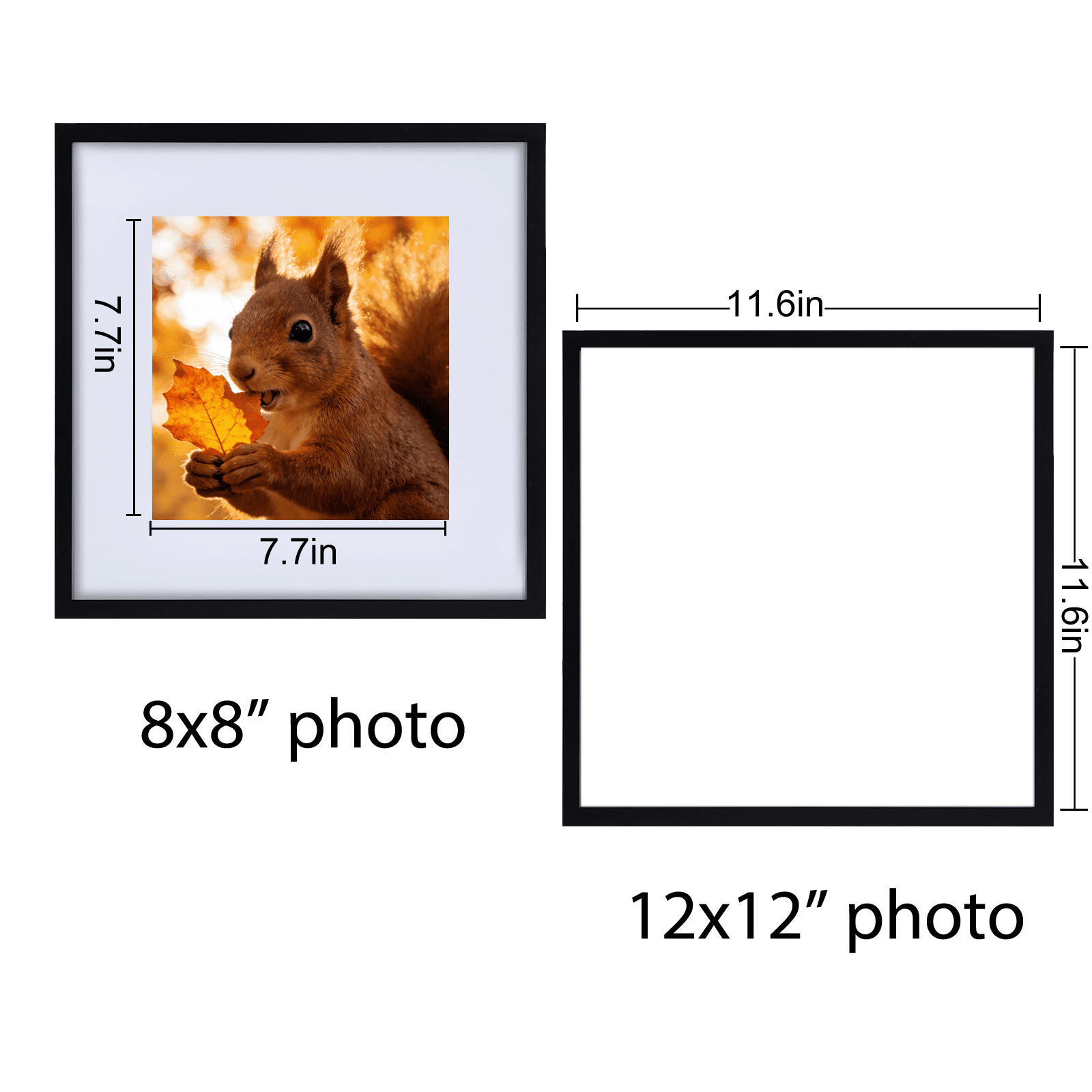 7 Pack 12x12 Picture Frame with 8x8 Openings, Black