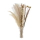 thumbnail image 4 of Ramo de 30 piezas de hierba de la pampa seca real, ramo de flores de caña Phragmites, plantas florales Estilo I, 4 of 8