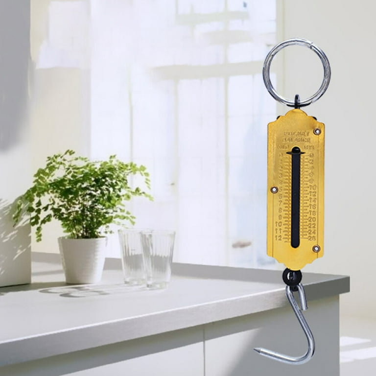 100KG Portable Weighing Vertical Spring Machine Selling Vegetables Scale  Mechanical Hanging Hook Scales(Golden) 