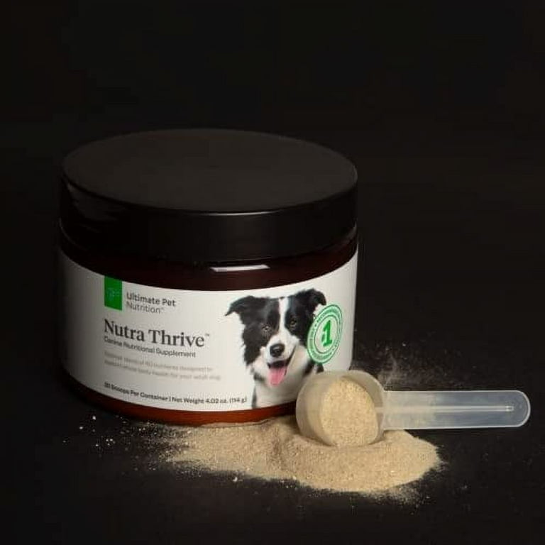 best wellness dog food for allergies Salmon Flavor Allergy Support Chews for Dogs main image 1
