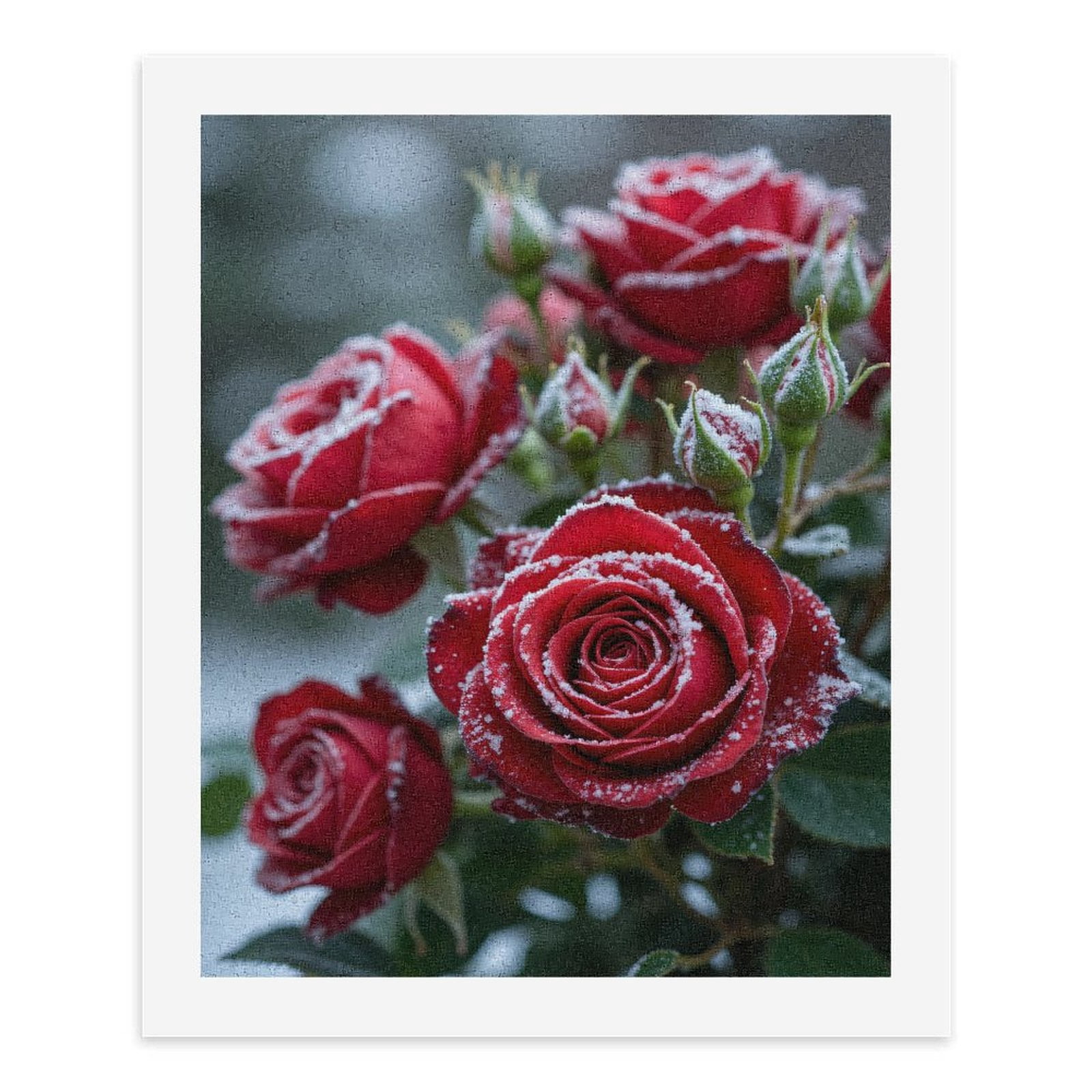 Paint by Numbers Kit for Adults, Frosty Red Roses Blooms Paint by Numbers, Easy Paint by Numbers Kit for Adults Beginner, DIY Adult Paint by Number Kits on Canvas, Home Decor