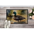 thumbnail image 3 of Carolines Treasures DAC3180JMAT 24 x 36 in.  American Black Duck Doormat, 3 of 6