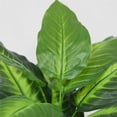thumbnail image 3 of Plante Artificielle Presque Naturelle, 3 of 6