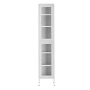 Glamour Home Avish 71" Modern Metal Cabinet with Clear Door in White