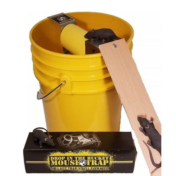 MULTI CATCH MOUSE TRAP - Walmart.com - Walmart.com