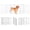 White, variant on 24''Height Full Matel Freestanding Dog Gate with Door,  4 Panels Extra Wide Free Standing Tall Dog Gates for Doorways,House,Stairs,Porch,Deck,Yard
