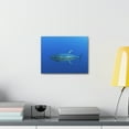 thumbnail image 3 of Majestic Yellow Finned Tuna Art Majestic Yellow Finned Tuna Print Animal Wall Art Wildlife Canvas Prints Wall Art Ready to Hang Unframed, 3 of 18