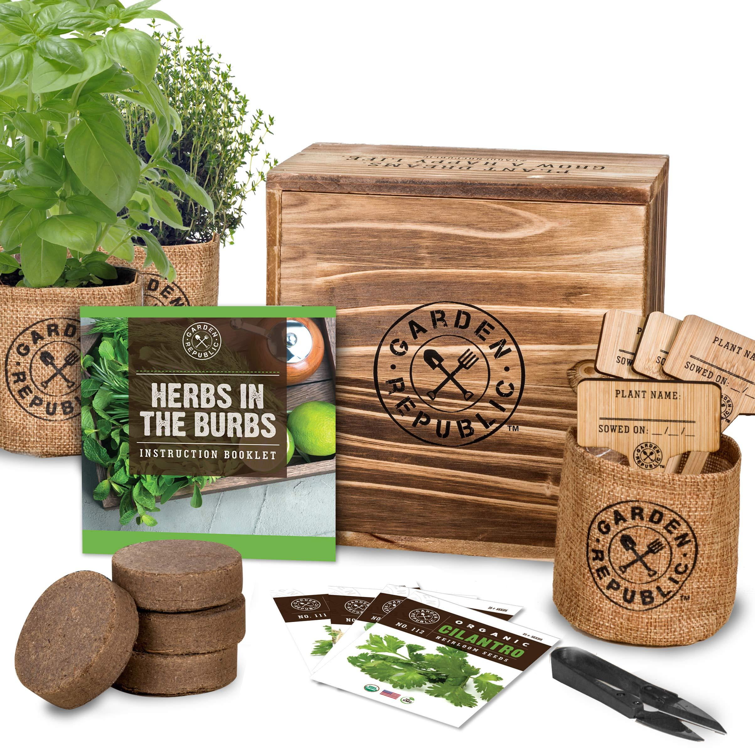 Indoor Herb Garden Starter Kit Organic, Non GMO Herb Seeds Basil