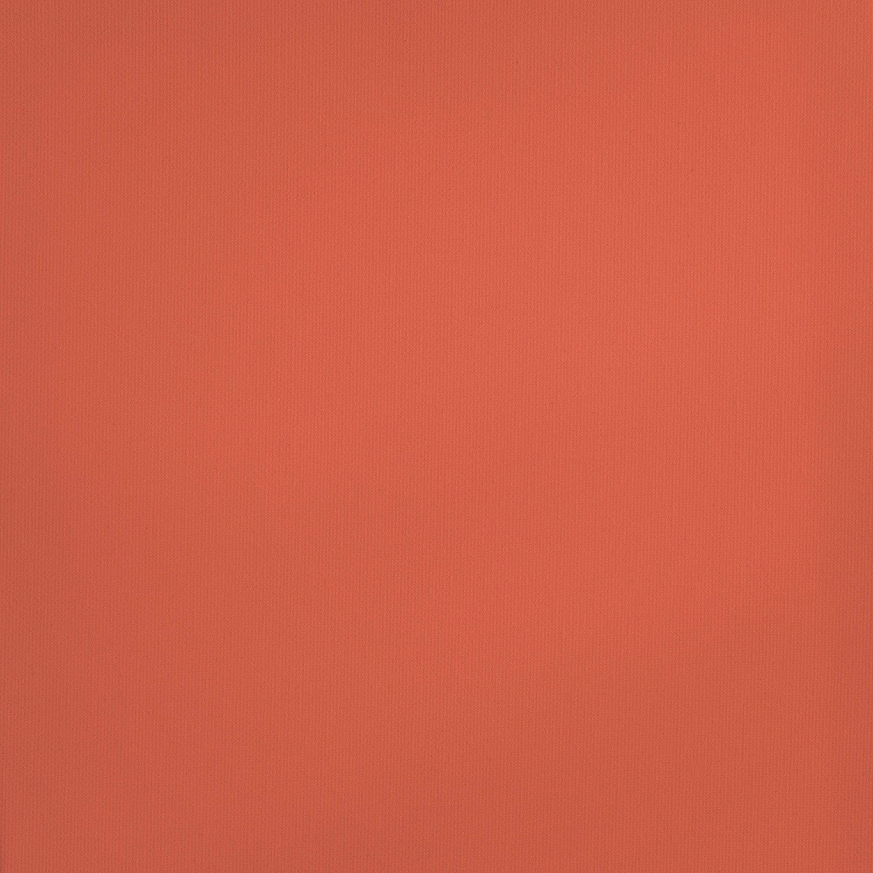 (2 pack) Royal & Langnickel Essentials 120ml Cadmium Orange Artist Acrylic Paint