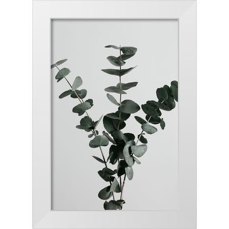 Artographie Studio 17x24 White Modern Wood Framed Museum Art Print Titled - Eucalyptus Natural 01
