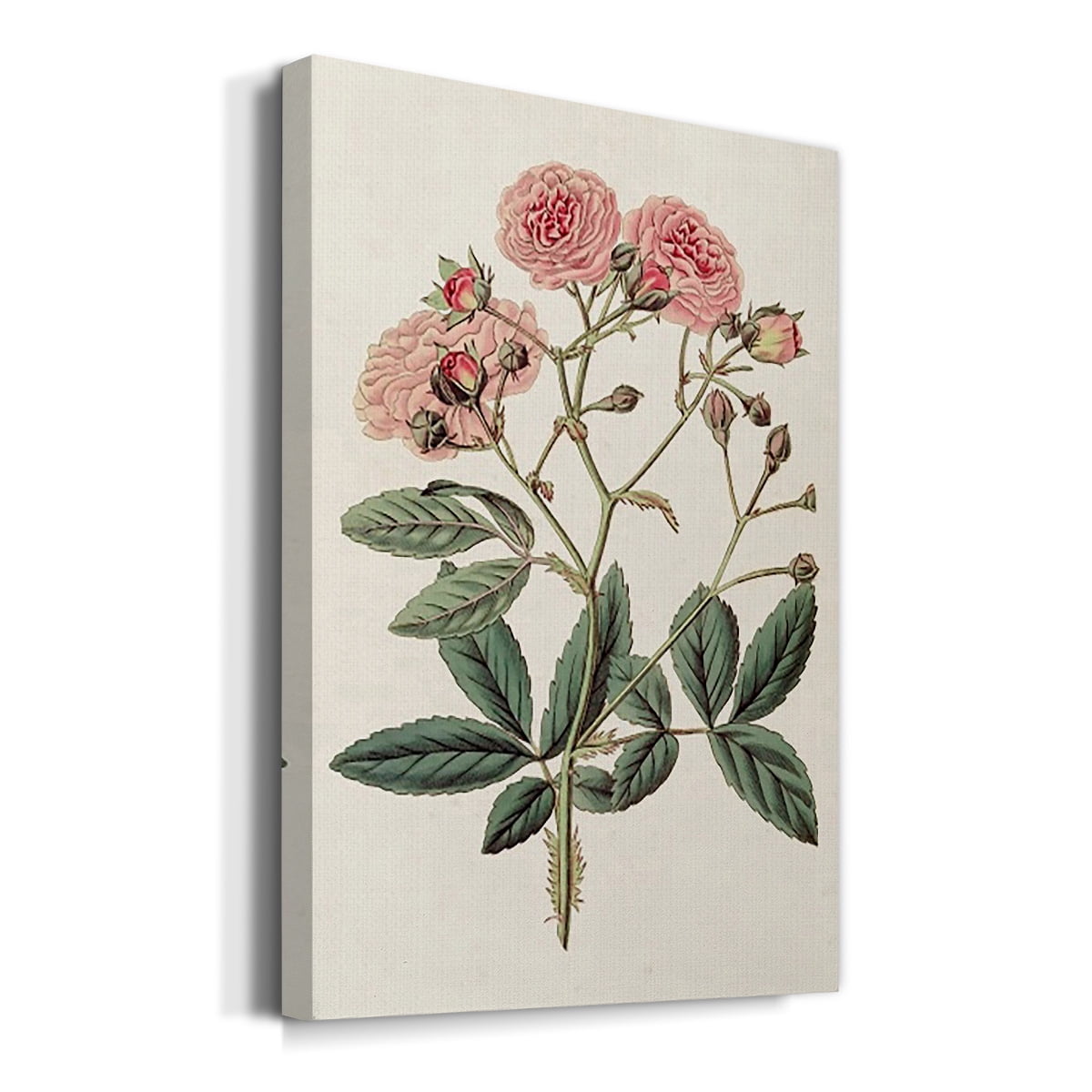 Pink Floral Mix V Premium Gallery Wrapped Canvas - Ready to Hang