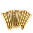 thumbnail image 4 of 100 piezas de accesorios de hardware para bisagras de muebles de latón con clavos de Cabeza redonda, funciones de suJeción Fuerte, perfecto para bisagras de muuebles para el, 4 of 7