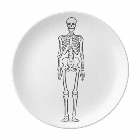 

Human Body Bone Structure Plate Decorative Porcelain Salver Tableware Dinner Dish