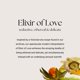 thumbnail image 2 of Crema corporal Caswell-Massey Elixir of Love 240 ml para mujer, 2 of 9