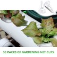 thumbnail image 3 of 50PCS Plastic Net Cups Pots Pod-Shaped Plastic Slotted Net Plant Cups Clear Hydroponic Cups Suitable For AeroGarden Hydroponics Planting Systems, 3 of 8