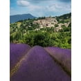 thumbnail image 2 of Steve Mohlenkamp 25x32 White Modern Wood Framed Museum Art Print Titled - Lavender bloom near Sault in the south of France, 2 of 4