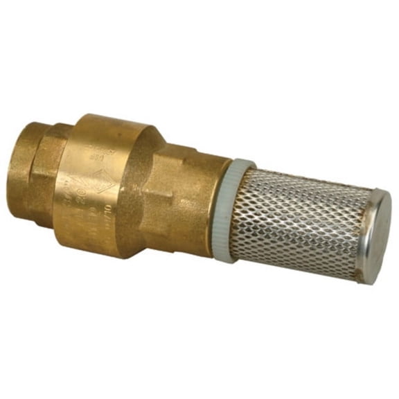 Proflo Pfxbfvg 1" Brass Foot Valve