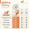 thumbnail image 4 of Clear Formula Bioactive SAM-e Supplement Capsule for Liver, Mood & Joint Support, 500mg, 90 Count, 4 of 8