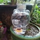 thumbnail image 4 of Ounissouiy Picos de riego automático para plantas, riego por goteo en maceta, patio, oficina, invernadero, jardinería, herramientas de agua tipo 1 Jardín y Patio Tipo 4 Ounissouiy HA063006-04, 4 of 6