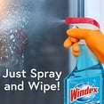 thumbnail image 4 of Windex Original Blue Glass & Window Cleaner - 765ml, 4 of 6