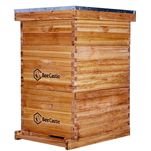 10 Deep-10 Medium Langstroth Beekeeping for sale online Beehive 20 Frame Complete Box Kit 