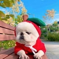 thumbnail image 4 of TIMIFIS Cat Dog Clothes Cat Costume Turned Into Dogs Cats Small And Medium-sized Dogs Autumn And Winter Sweaters Fleece Clothes, 4 of 4