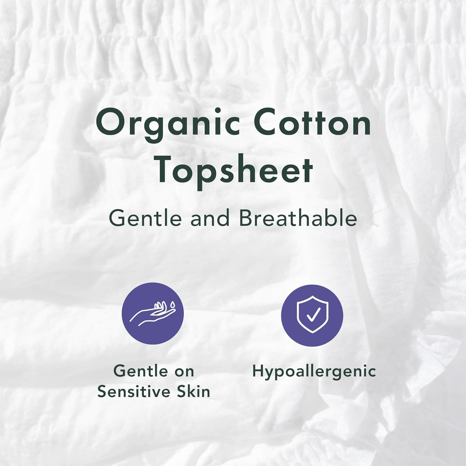 Rael Organic Cotton Cover Disposable Period Underwear Medium 8p(id