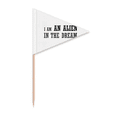 thumbnail image 1 of I Am An Alien In The Dream Toothpick Triangle Cupcake Toppers Flag, 1 of 3