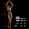 thumbnail image 3 of TBLeague 1/12 Scale Super Flexible Female Seamless Action Figure Body with Metal Skeleton Tan Skin, 3 of 5