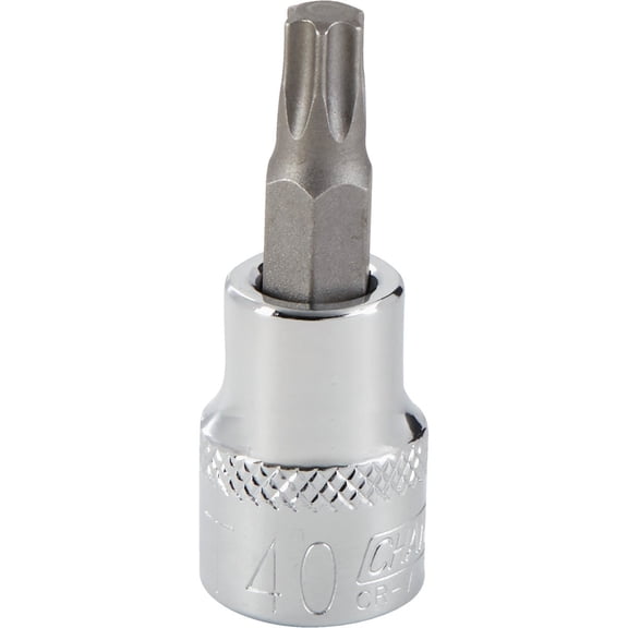 BestWay Tools Torx Bit Socket T40 - Chrome Vanadium Steel - 1 Piece, Silver