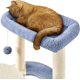 thumbnail image 5 of Wangone Cat Tree 35.5in Indoor Cat Tower with Scratching Posts & Padded Perch – Cute Cat Condo House with Space Capsule for Kittens, Small Cats, Home Use, Blue/Beige, 5 of 18