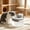 White, variant on 1.5L Automatic Pet Water Fountain, Quiet Circulating Filtered Dispenser for Cats Dogs, USB Rechargeable Indoor Waterer with Multi-Stage Filter, Black