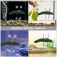 thumbnail image 4 of OUNONA 1Jgo Plataforma De Reptil Para Bañarse Y Escalar En Acuario Decorativa, 4 of 8