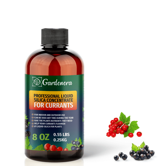 πππππππ Liquid Silica Plant Supplement - 8oz (250mL) - CURRANTS Plants Liquid Silica Boost Fertilizer - Stronger Stems & Healthy Leaves for Indoor & Outdoor Currants Plants (Makes 45 Gallons)