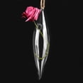 thumbnail image 1 of Bouteille en Verre Transparent Suspendue, Vase à Fleurs Style Rural à la Mode pour Maison pour Jardin, 1 of 8