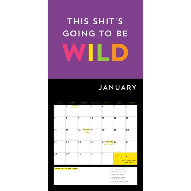 Calendars & Gifts to Swear by: A F*cking 2024 Wall Calendar (Other) -  Walmart.com