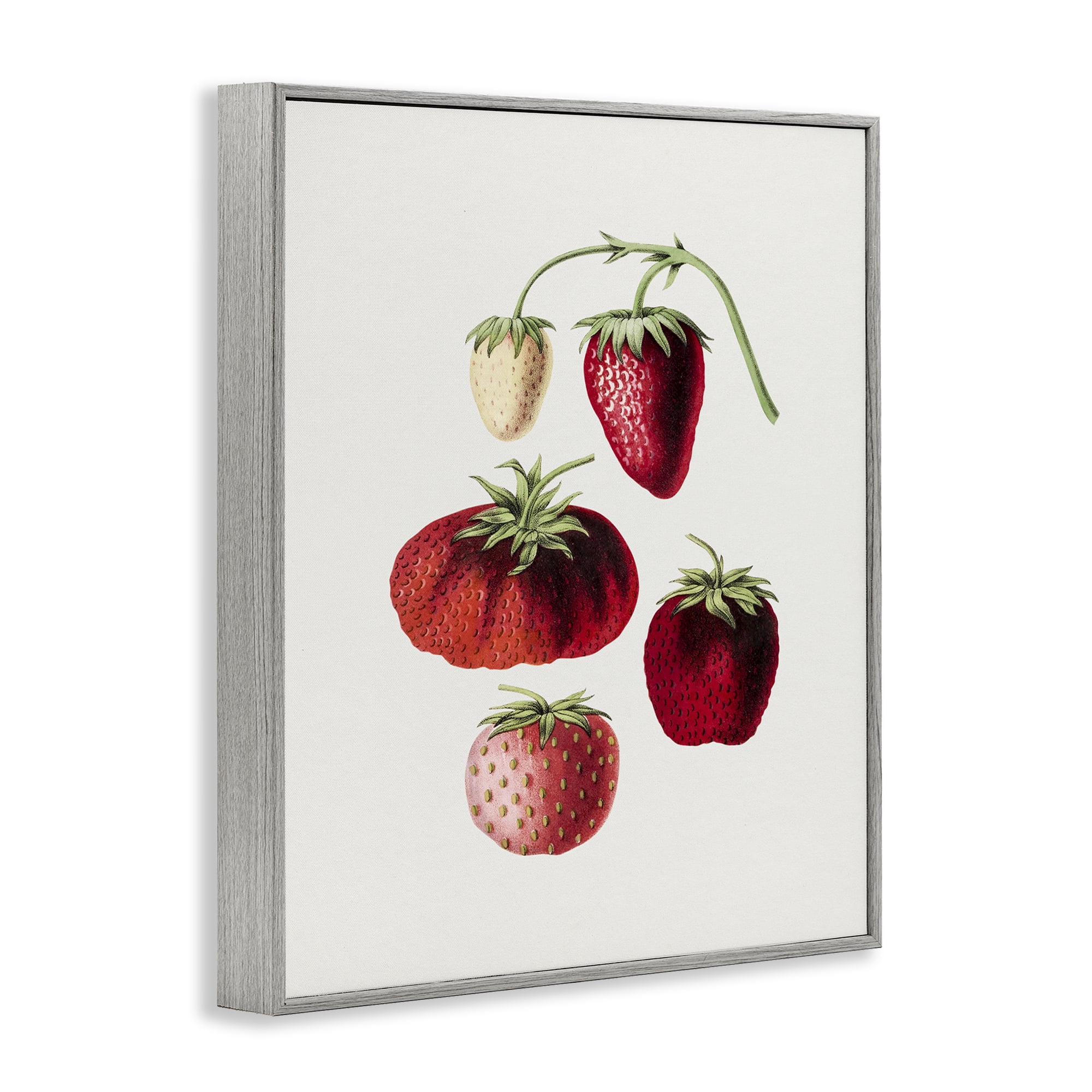 Stupell Industries Natural Berries Study Food & Beverage Painting Gray Framed Art Print Wall Art, 11 x 14
