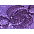 thumbnail image 1 of Ahgly Company Machine Washable Indoor Rectangle Transitional Bright Purple Area Rugs, 5' x 7', 1 of 7