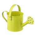 thumbnail image 5 of CHENGSI Garden Watering Can Metal Long Spout Sprinkler Pot Indoor Outdoor Plant Flower Kettle Sprayer 7cm Height 8cm Top Diameter Light Green, 5 of 10
