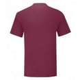 thumbnail image 3 of Fruit Of The Loom Mens Iconic T-Shirt, 3 of 4